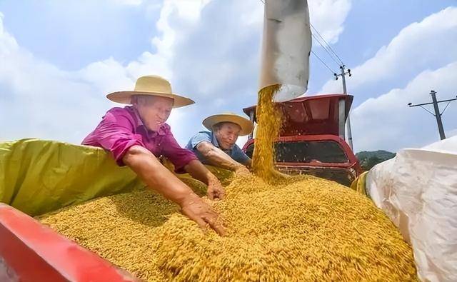 中国最不好惹的一个省 半个中国都要依赖它 中国最不好惹的一个省 半个中国都要依赖它