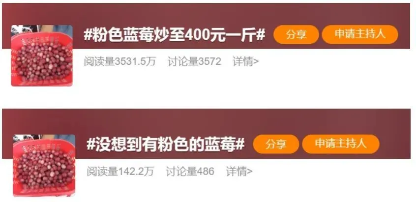 “粉色蓝莓”火出圈 一斤400元!引发网友热议