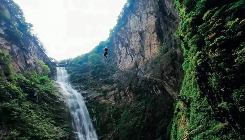 “拿到合法证件的,一个都没有”