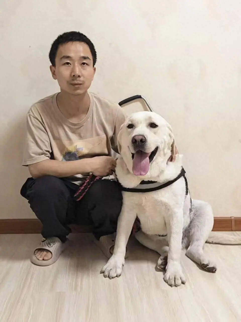 西安申领的导盲犬在天津办不了狗证 公安让找残联