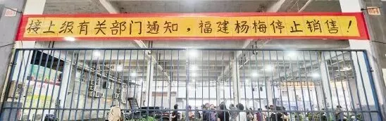 毒杨梅15年前已被警示,可惜他们的诡辩一以贯之