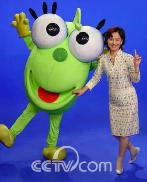 前央视主持人郎永淳刑满释放后,如今过得怎样