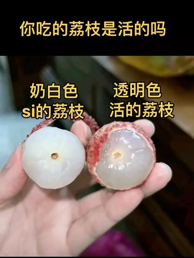 鲜荔枝果肉透明，“死荔枝”是乳白色？果农说......