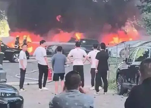 74岁老人嫌杨絮碍事竟将其点燃,20辆新能源车被烧毁