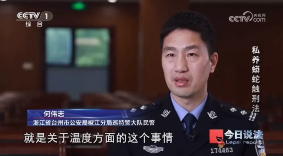 毛骨悚然！男子小区里养300多条蟒蛇