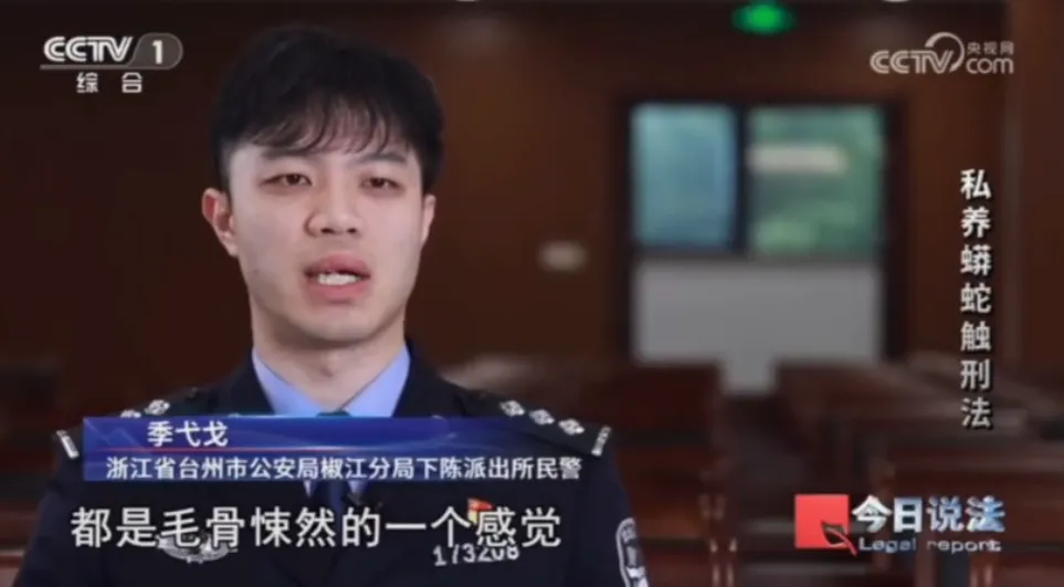 毛骨悚然！男子小区里养300多条蟒蛇