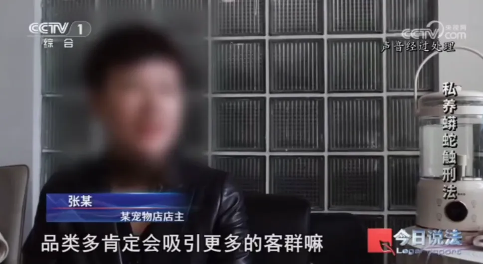 毛骨悚然！男子小区里养300多条蟒蛇