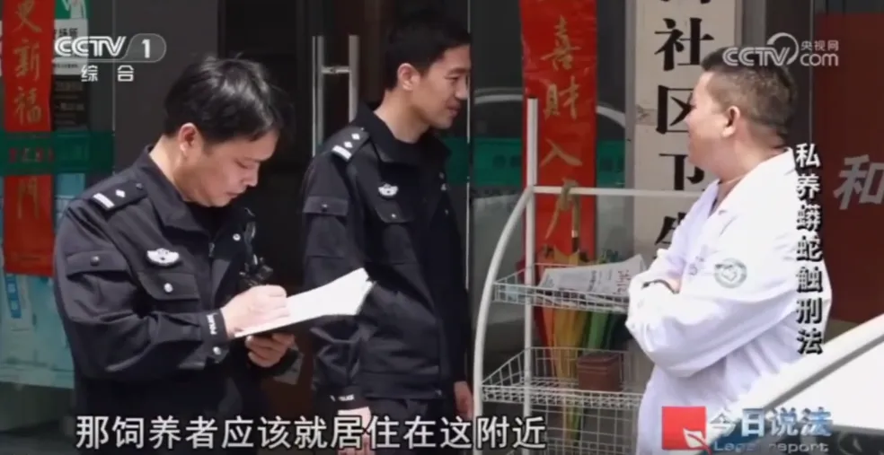 毛骨悚然！男子小区里养300多条蟒蛇