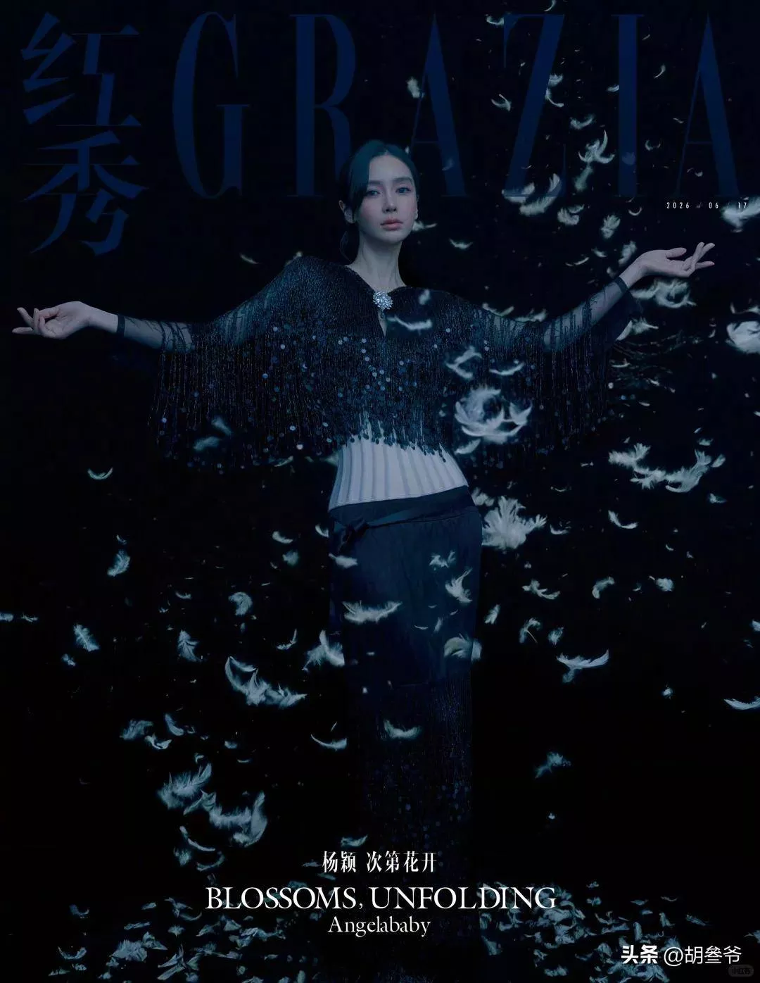 文章配图-8